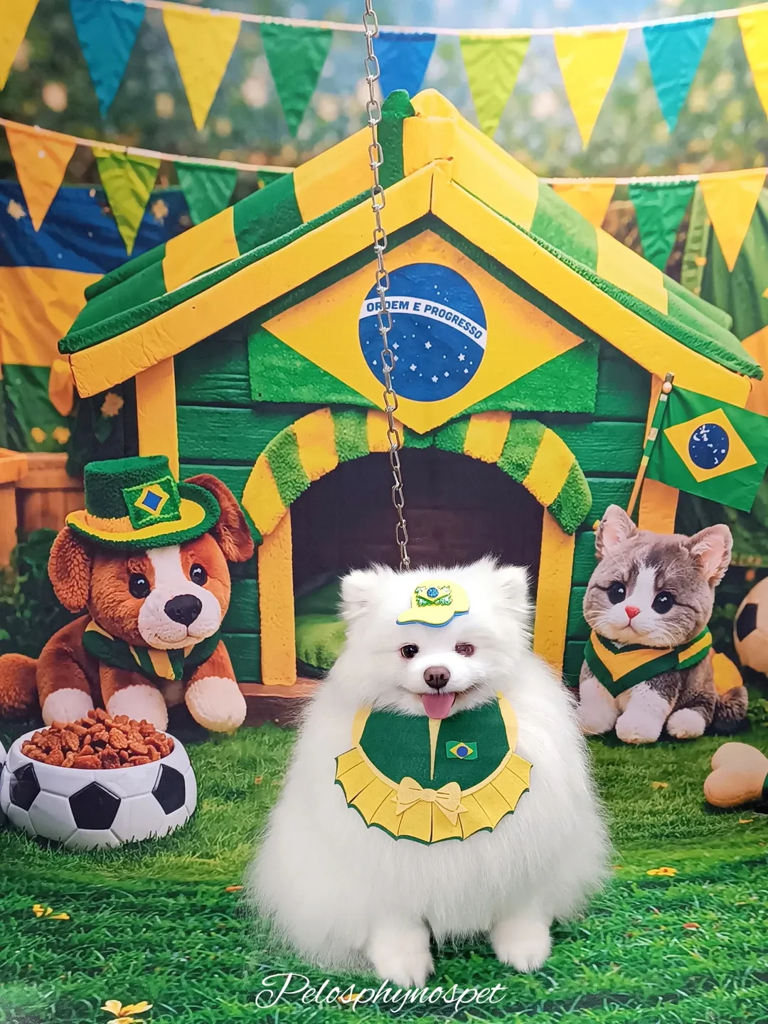 Lulu da Pomerânia branco com bandana do Brasil