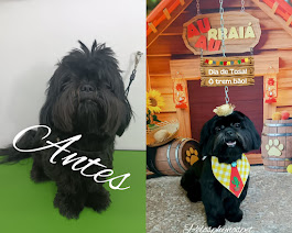 Transformação incrível - Antes e Depois