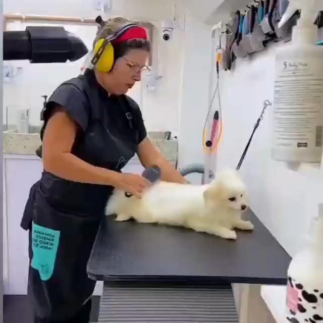 Groomer cuidando de pet com carinho