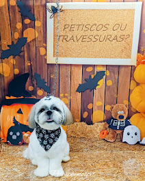 Pet pronto para o Halloween